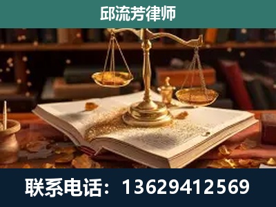 施甸-刑事案件