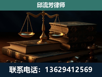 施甸-刑事案件